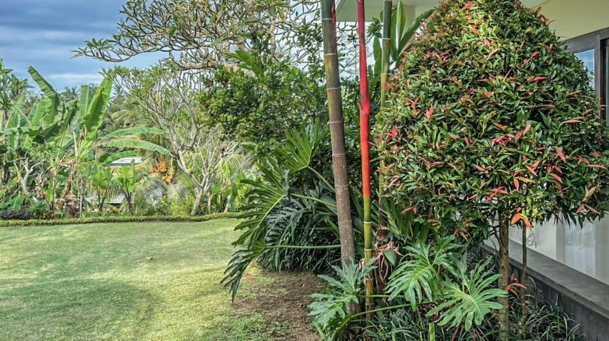 Dlobong Suite Ubud Exterior photo